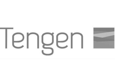 Logo Tengen
